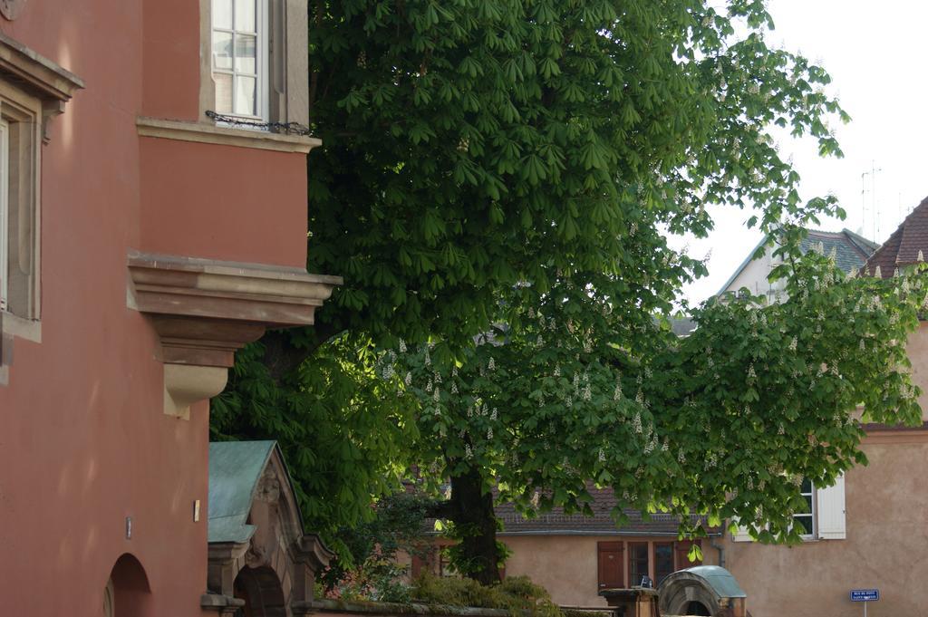 Quai 17 Maison D'Hotes Strasbourg Exteriör bild