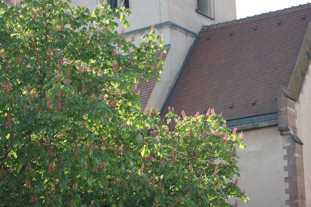 Quai 17 Maison D'Hotes Strasbourg Exteriör bild
